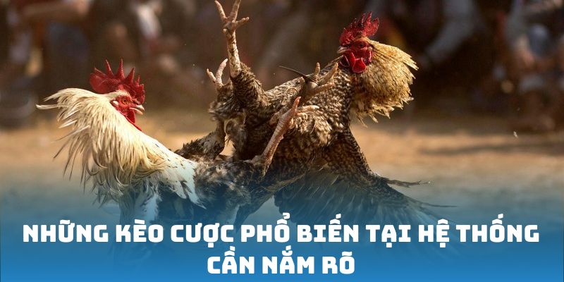 Những kèo cược phổ biến tại hệ thống cần nắm rõ